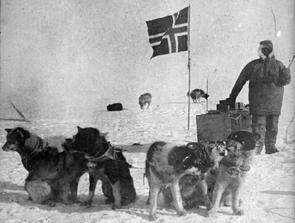 Kuva: Amundsenin retkikunnan jäsen Olav Bjaaland koiravaljakon kanssa Etelänavalla. Lähde: Nasjonalbiblioteket, Norja.